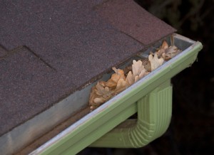 Gutter Cleaning Long Island NY